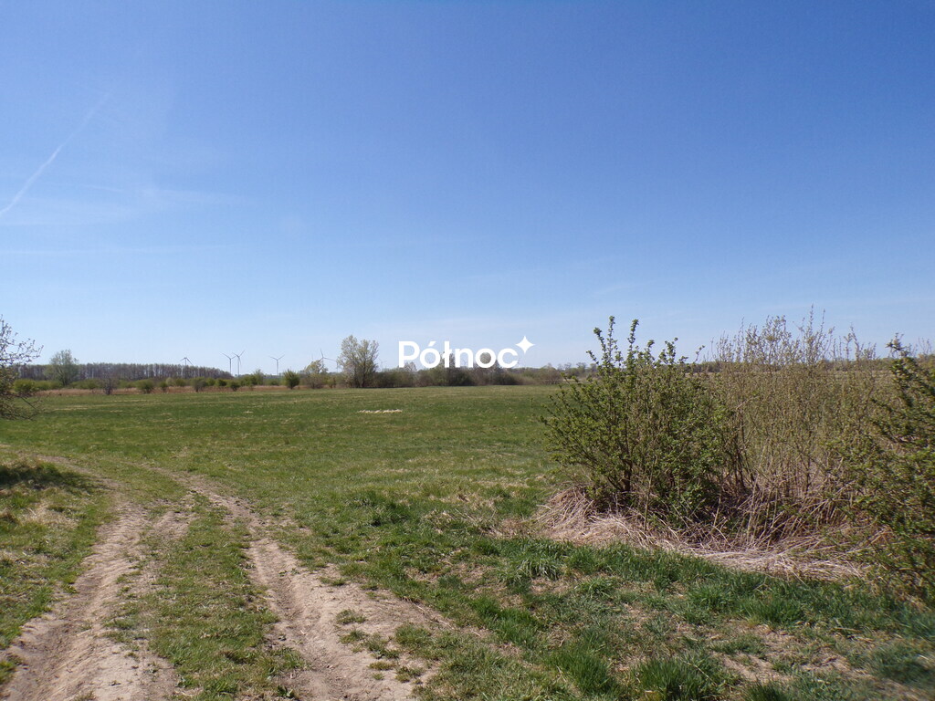 Zdjęcie 10