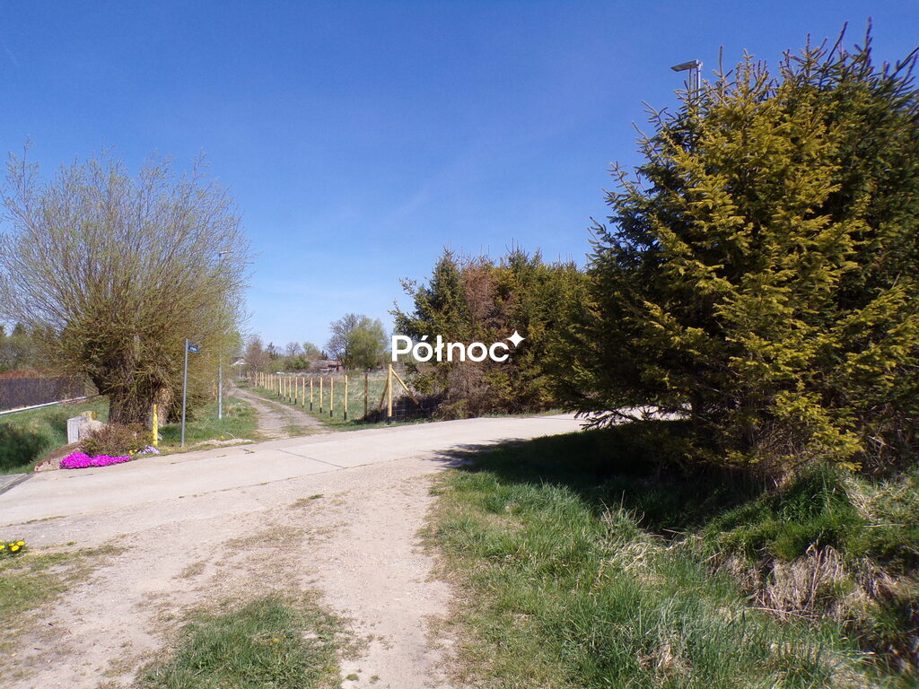 Zdjęcie 12
