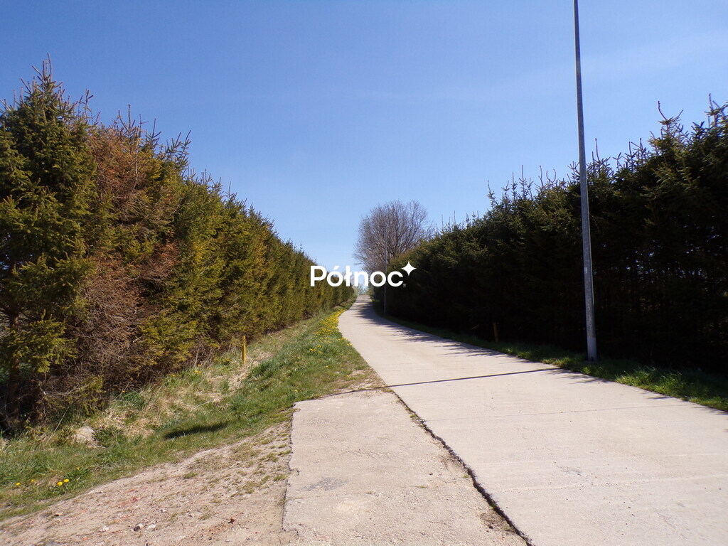 Zdjęcie 13