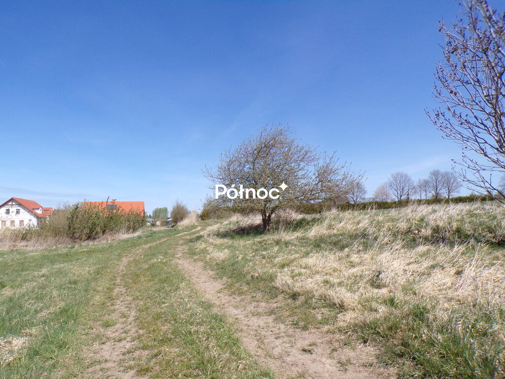 Zdjęcie 16