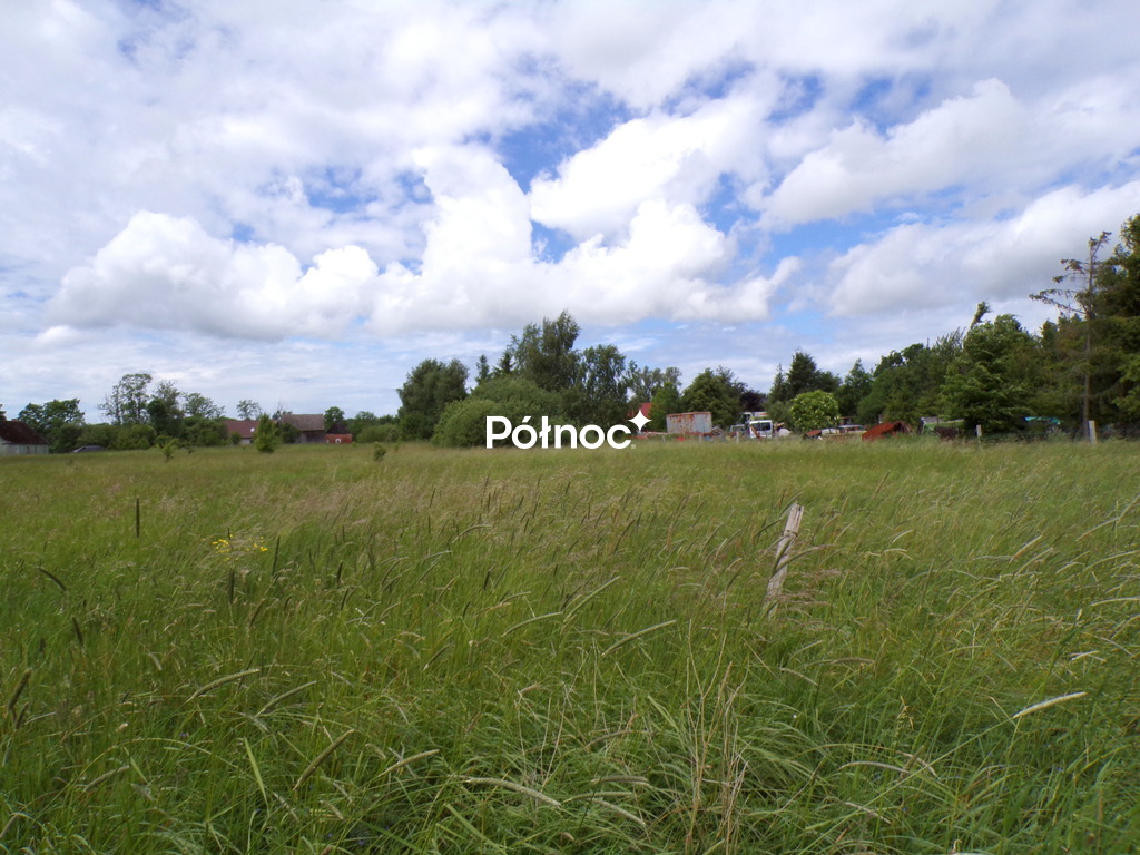 Zdjęcie 11