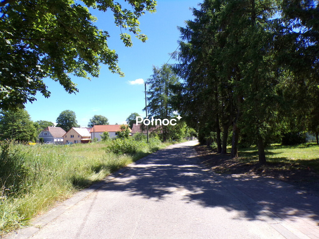 Zdjęcie 7