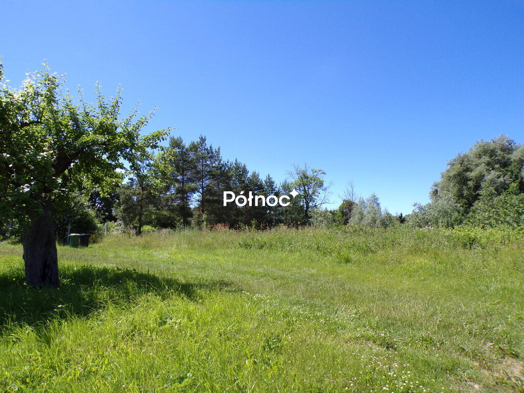 Zdjęcie 10