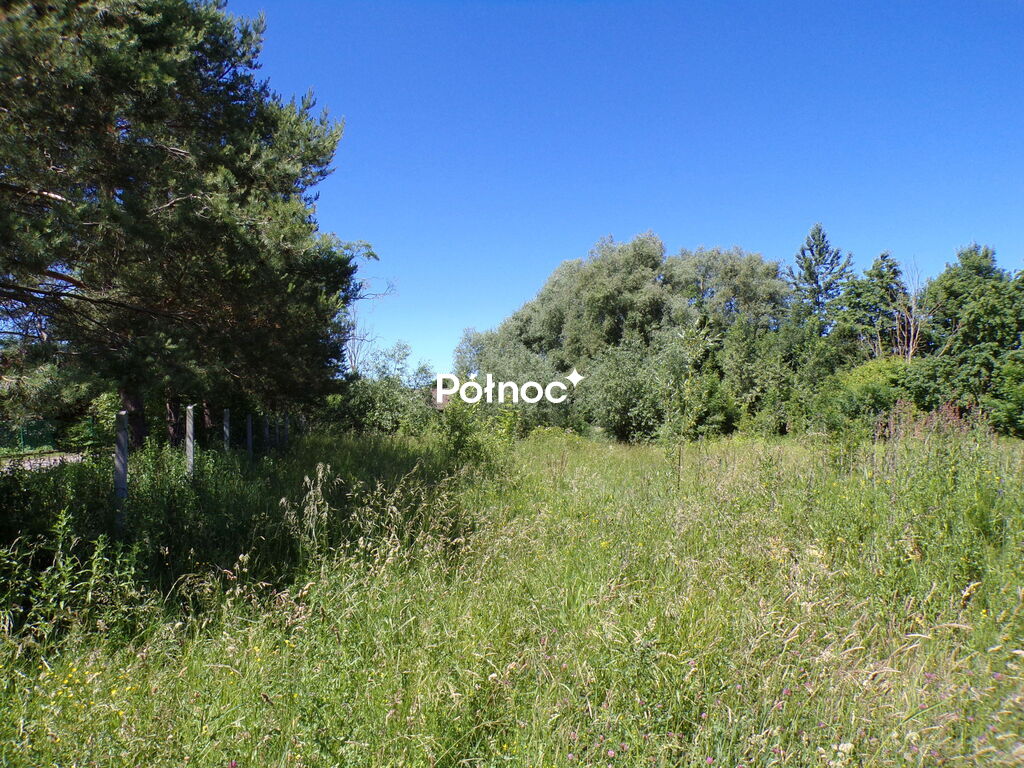 Zdjęcie 11