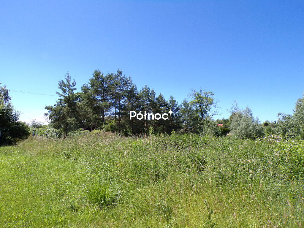 Zdjęcie 15