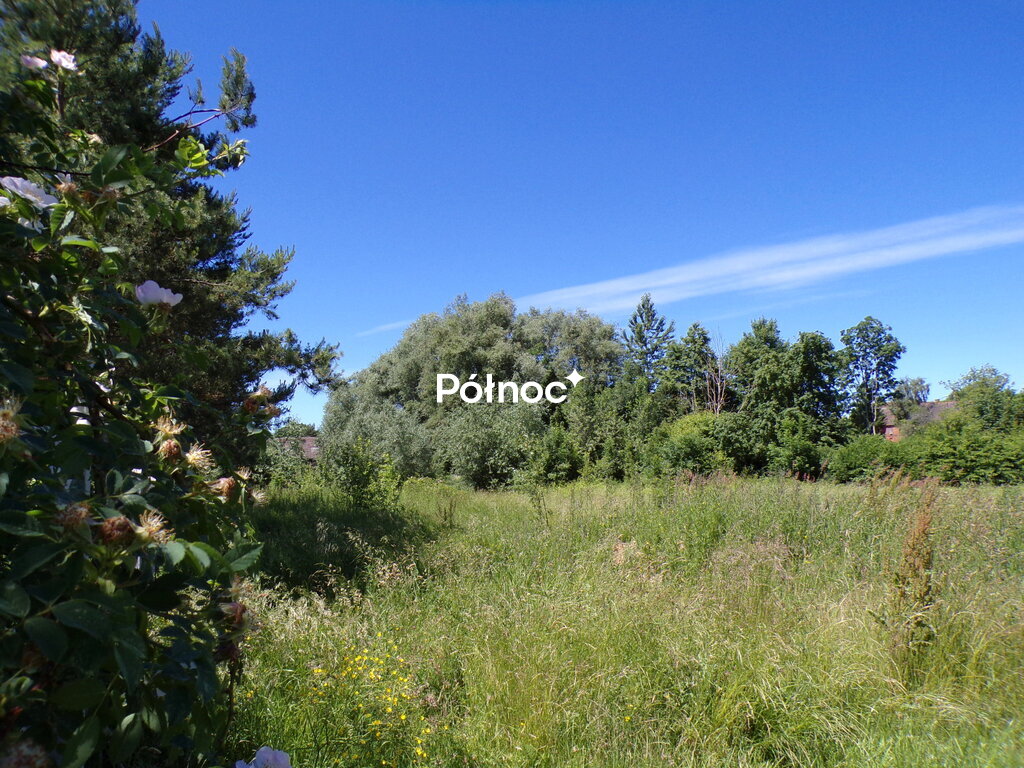 Zdjęcie 16