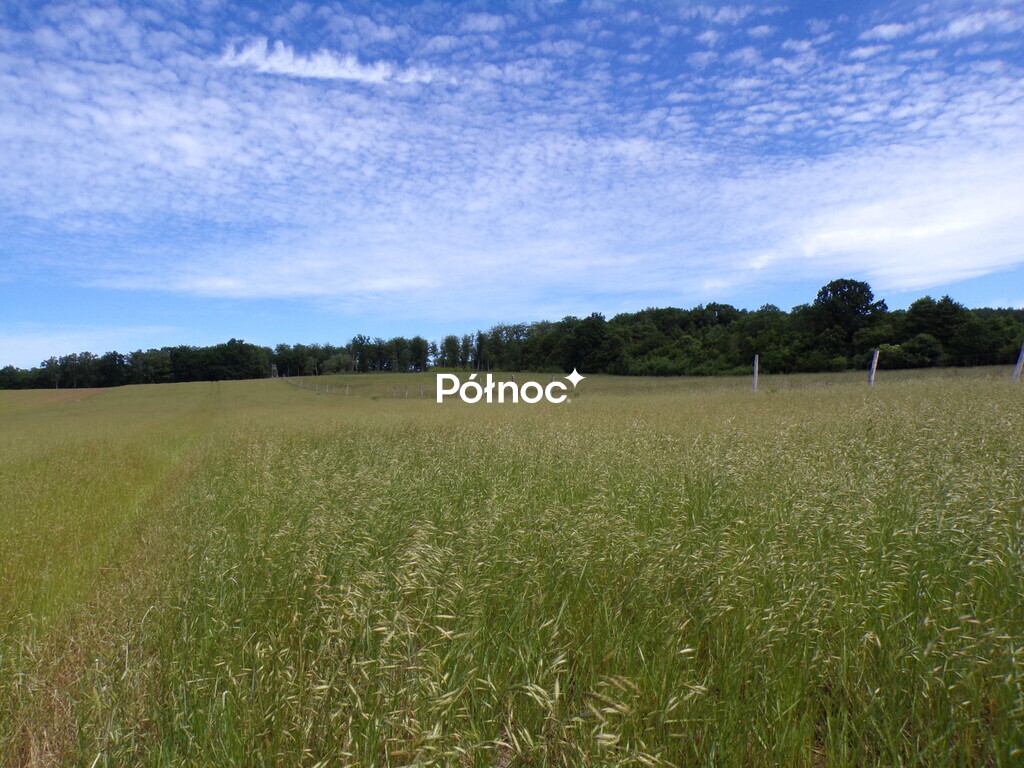 Zdjęcie 6