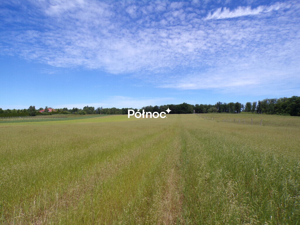 Zdjęcie 8