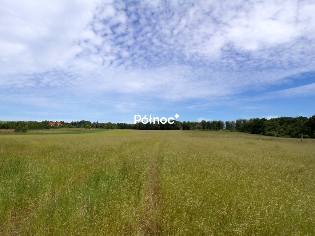 Zdjęcie 15