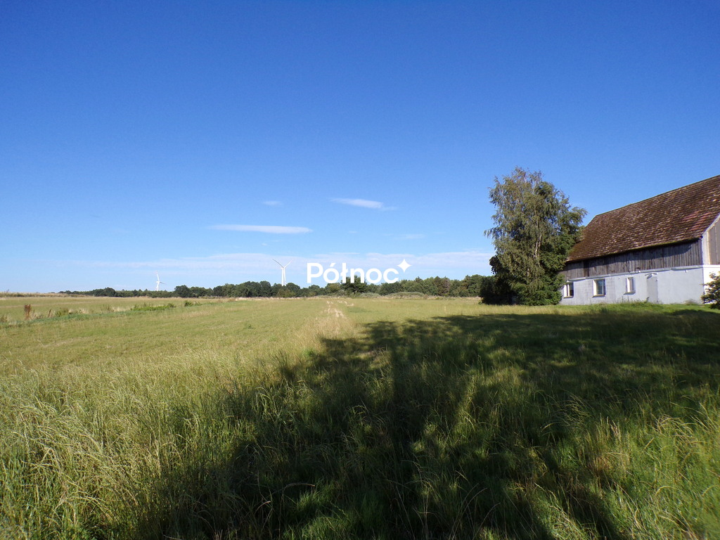 Zdjęcie 5