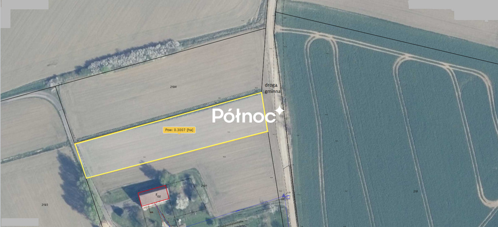 Zdjęcie 7