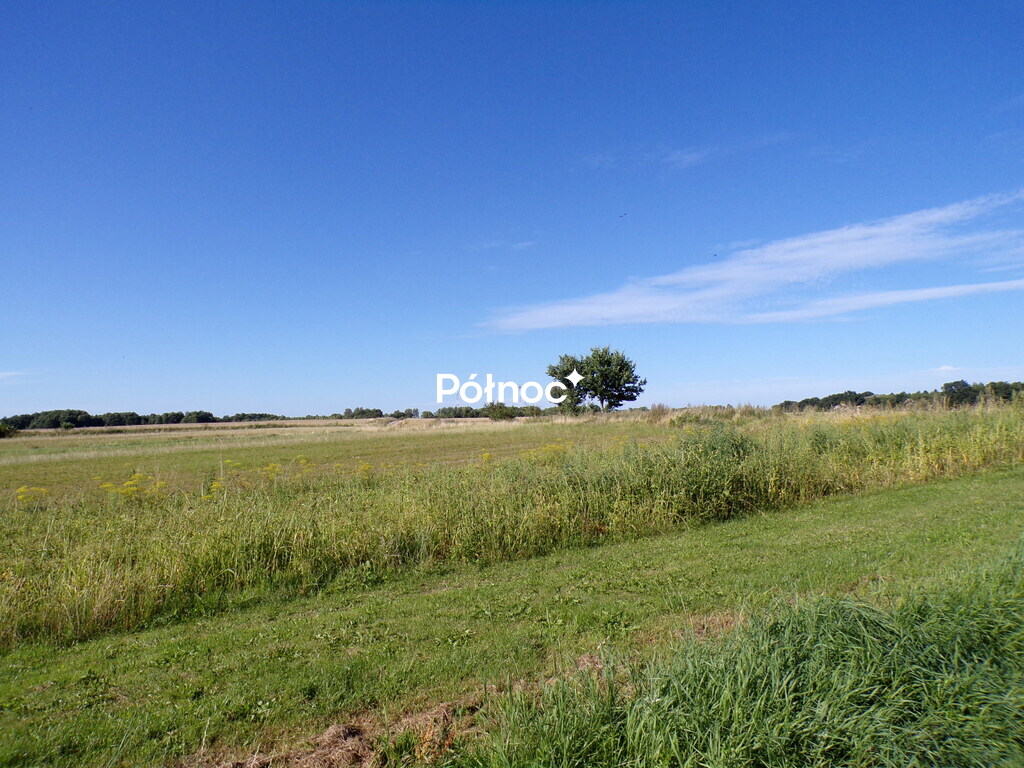 Zdjęcie 10