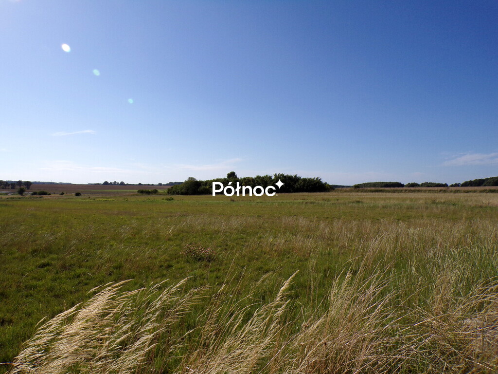 Zdjęcie 11