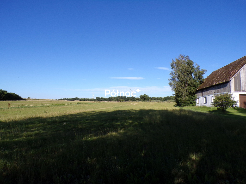 Zdjęcie 12