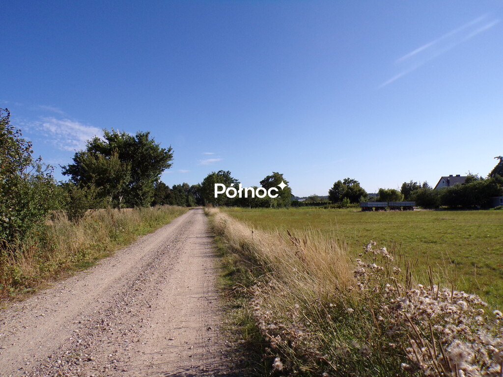 Zdjęcie 15