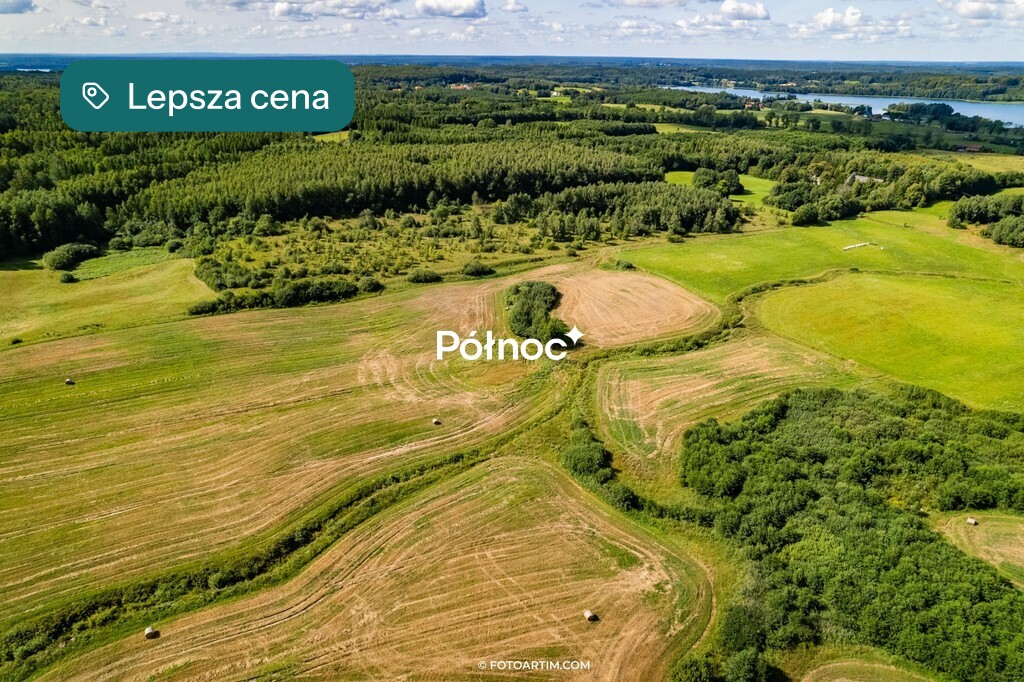 Zdjęcie 11