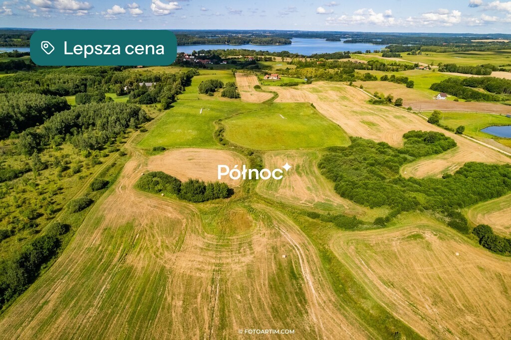 Zdjęcie 12