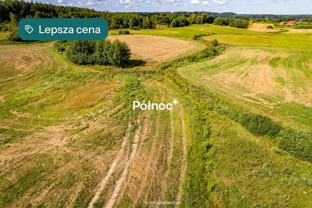 Zdjęcie 14