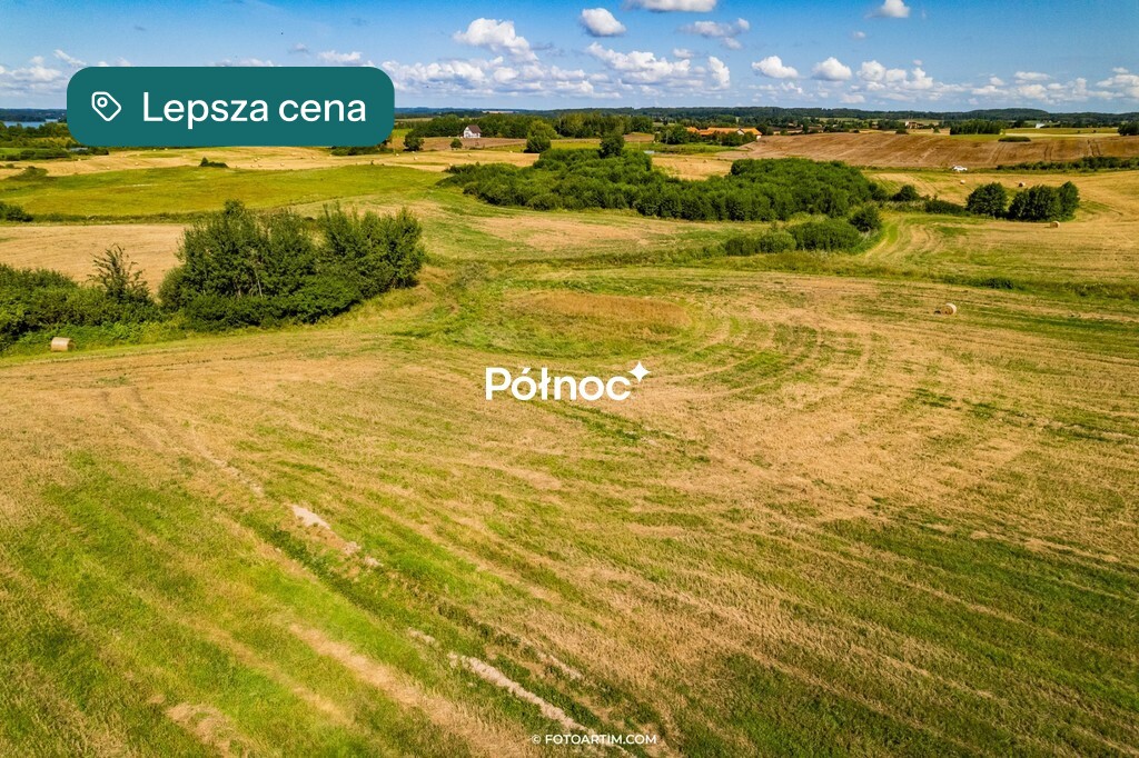 Zdjęcie 15