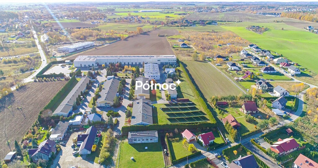 Zdjęcie 5
