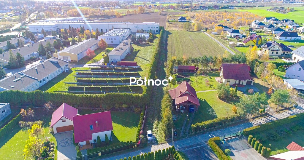 Zdjęcie 6