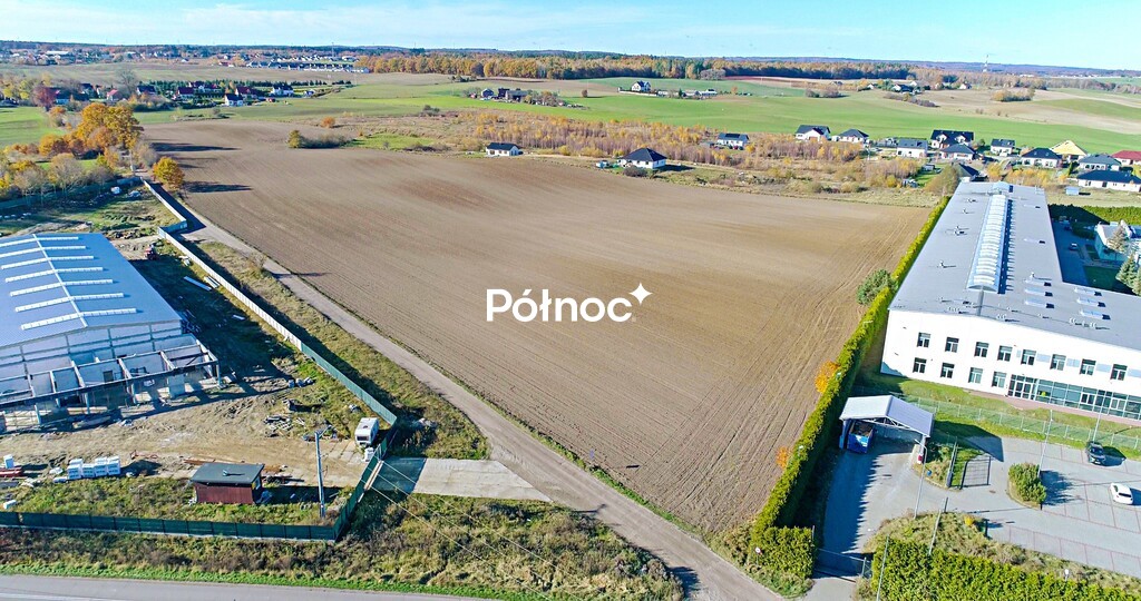 Zdjęcie 7