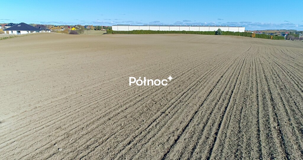 Zdjęcie 8
