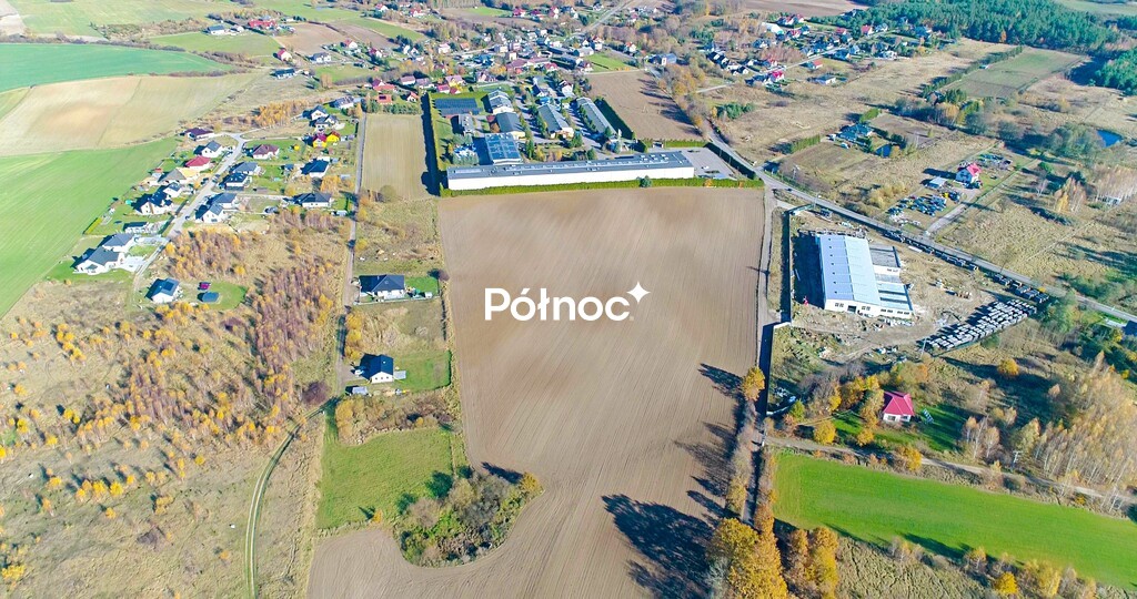Zdjęcie 9