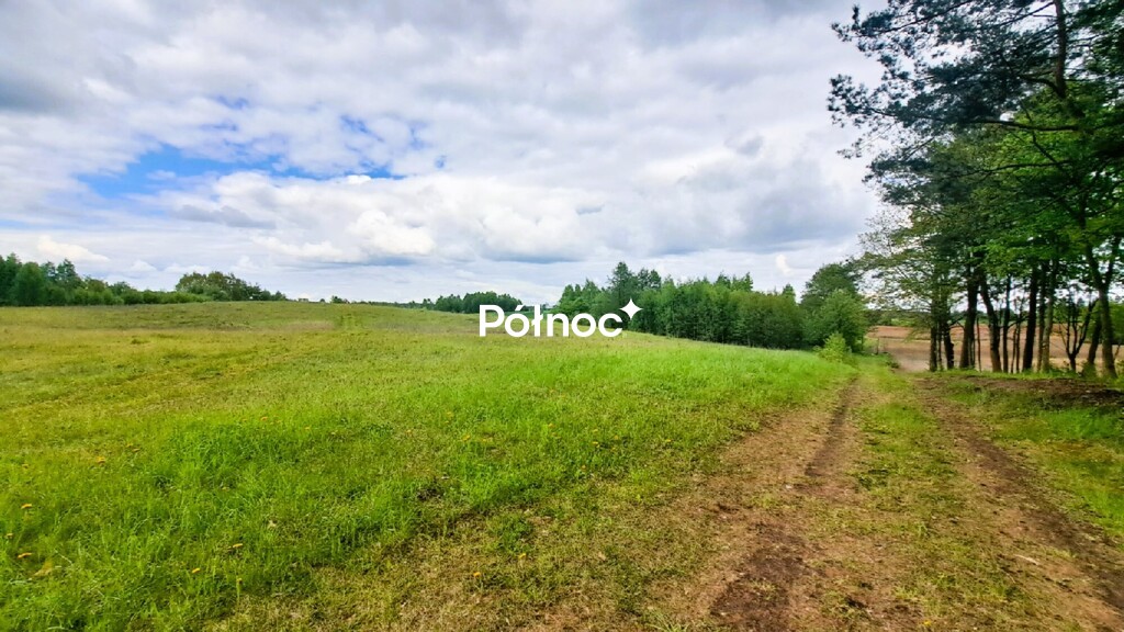 Zdjęcie 2