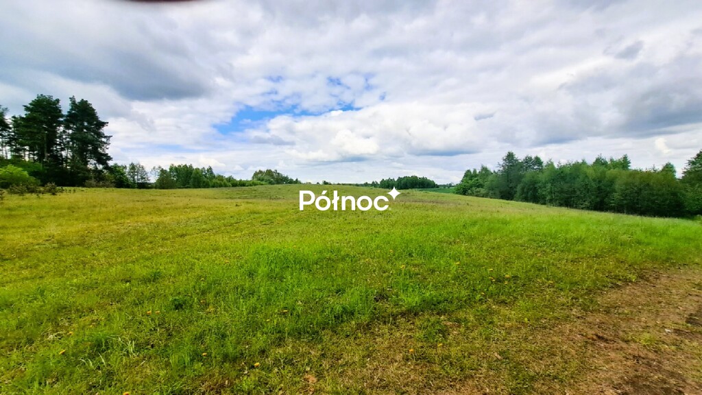 Zdjęcie 3