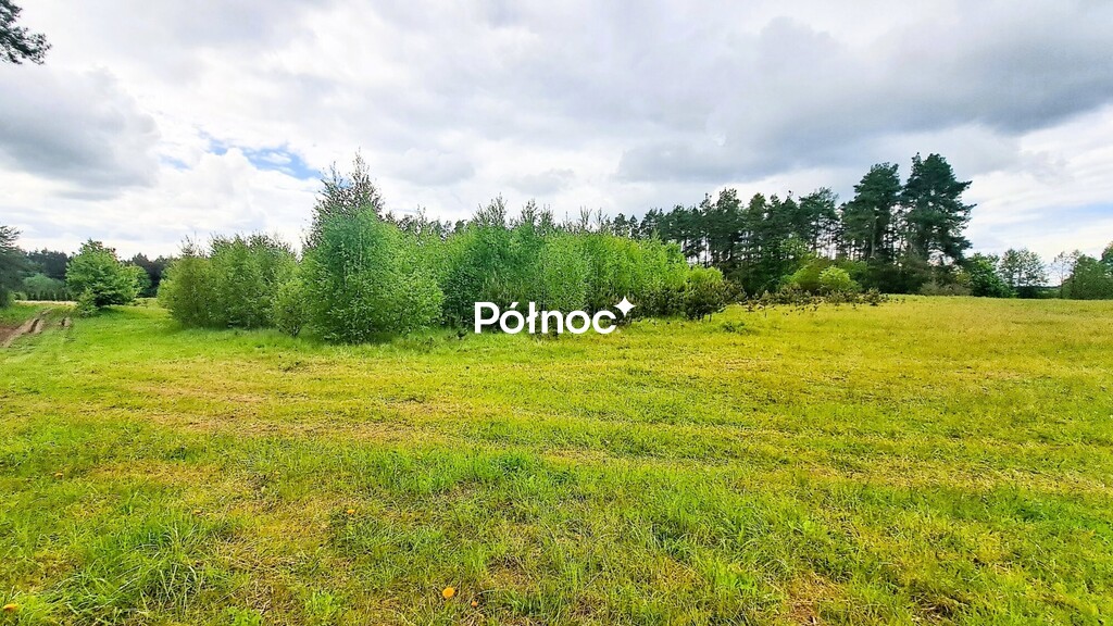 Zdjęcie 4