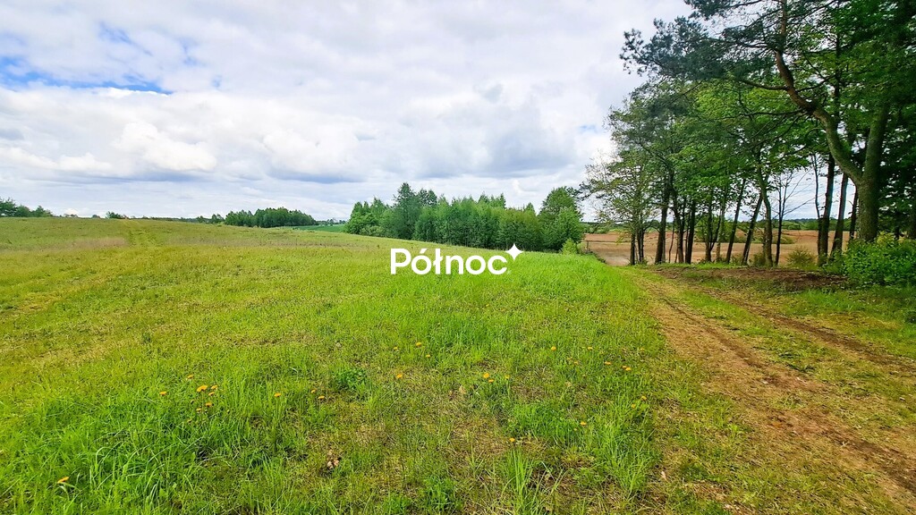 Zdjęcie 5