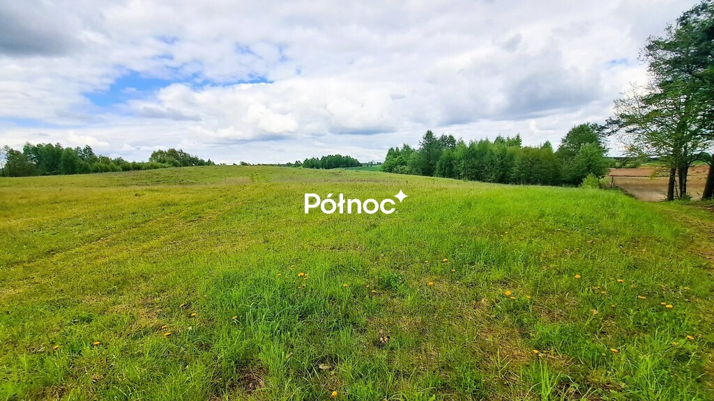 Zdjęcie 6
