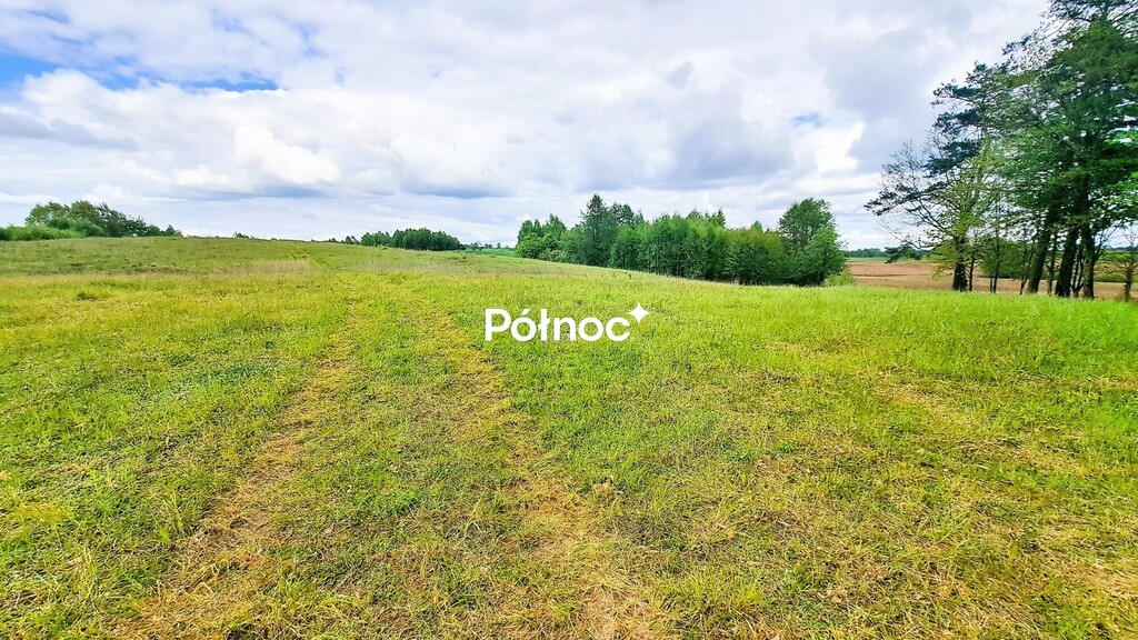 Zdjęcie 8