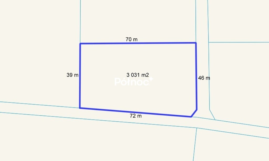 Zdjęcie 11