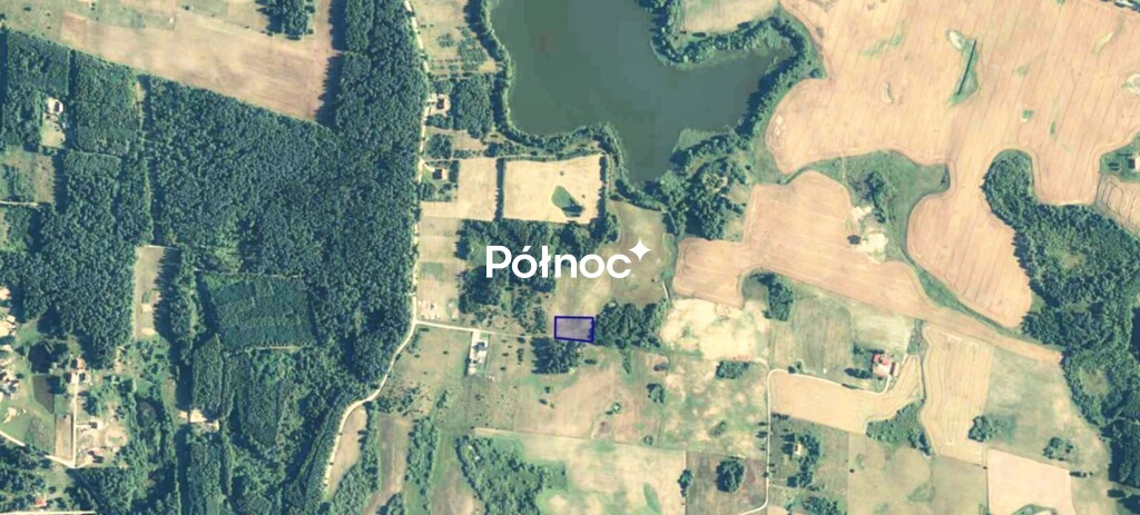 Zdjęcie 12