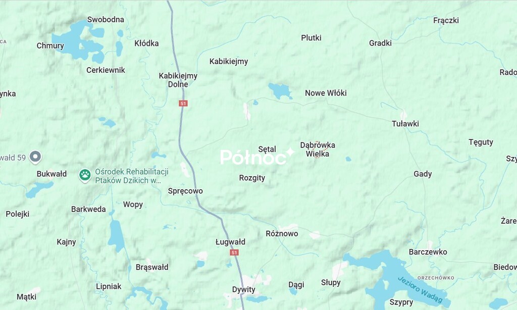 Zdjęcie 13