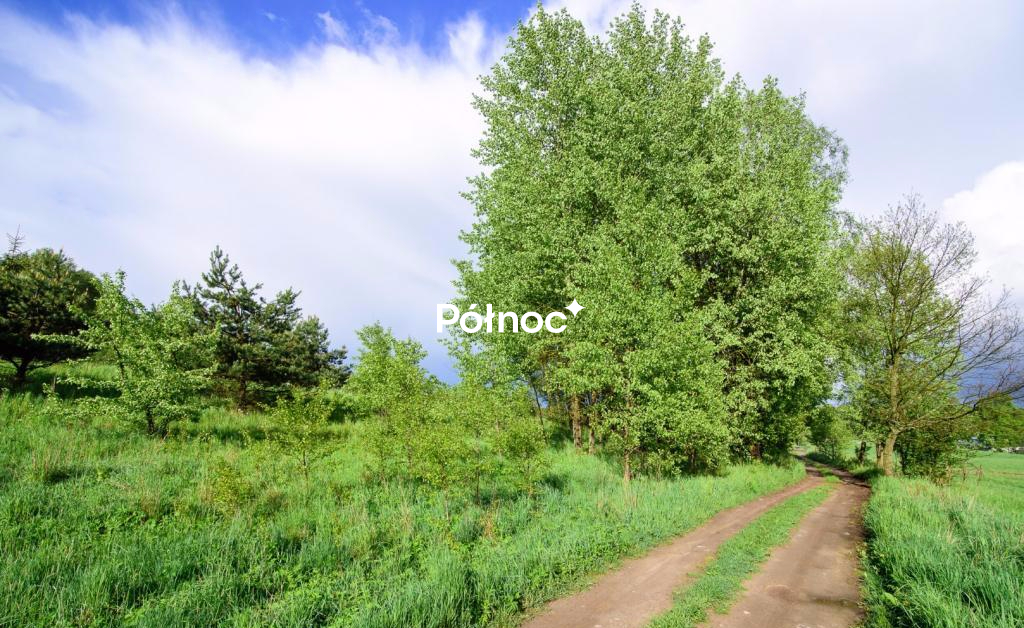 Zdjęcie 6