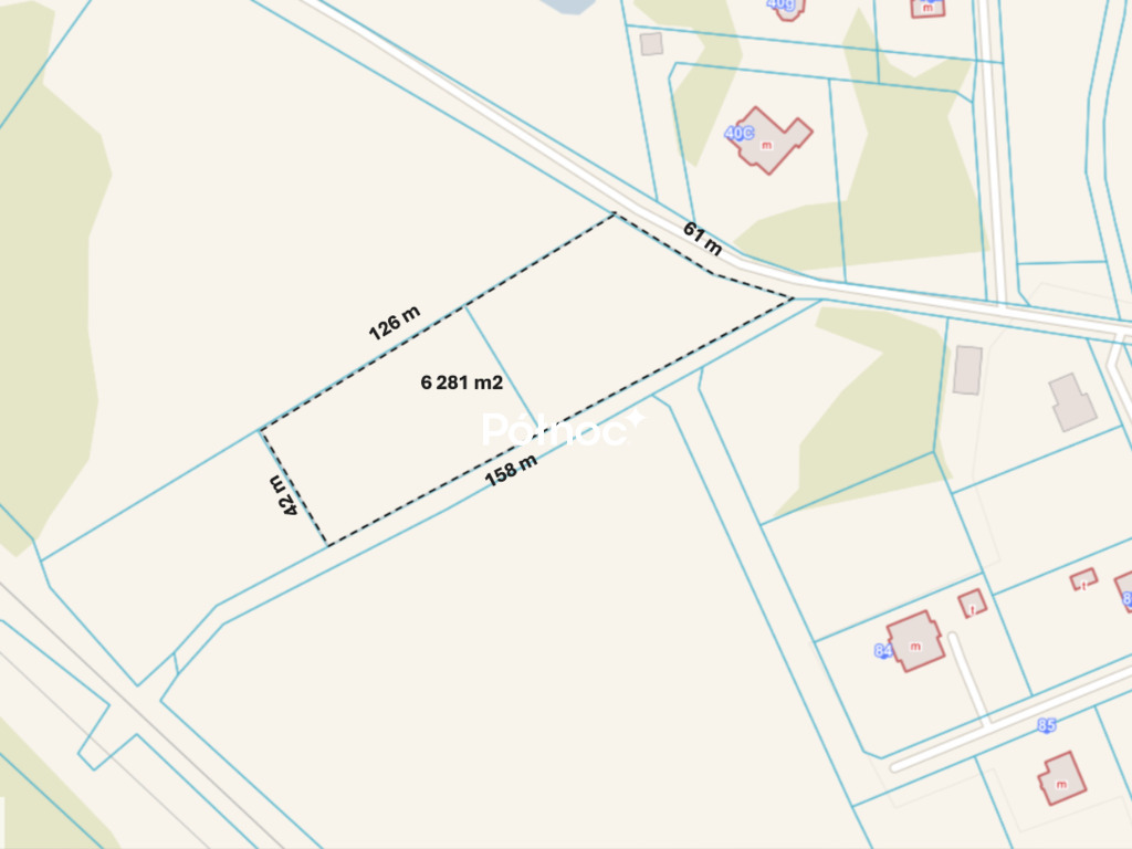 Zdjęcie 8