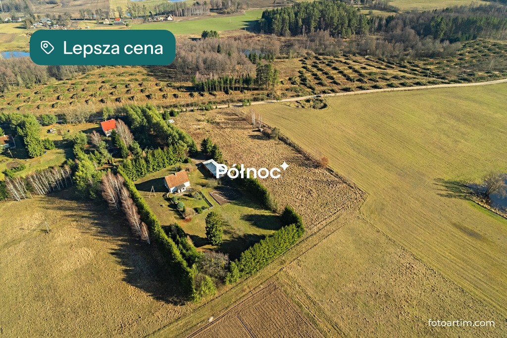 Zdjęcie 3