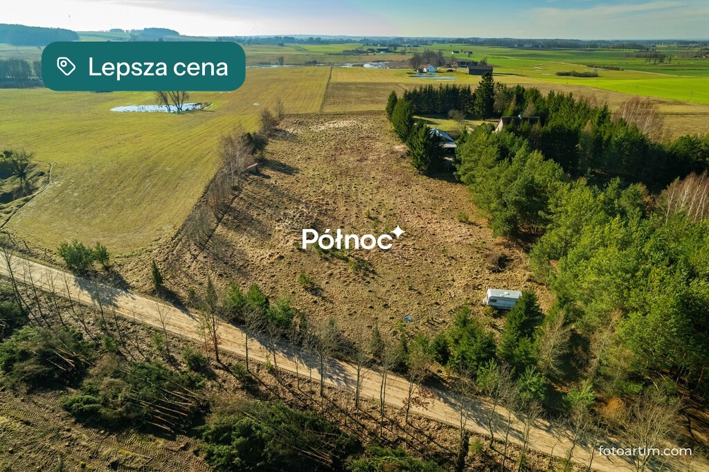 Zdjęcie 8