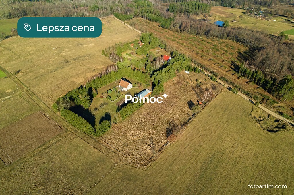 Zdjęcie 10