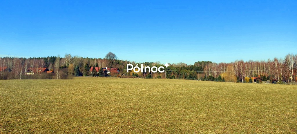 Zdjęcie 8
