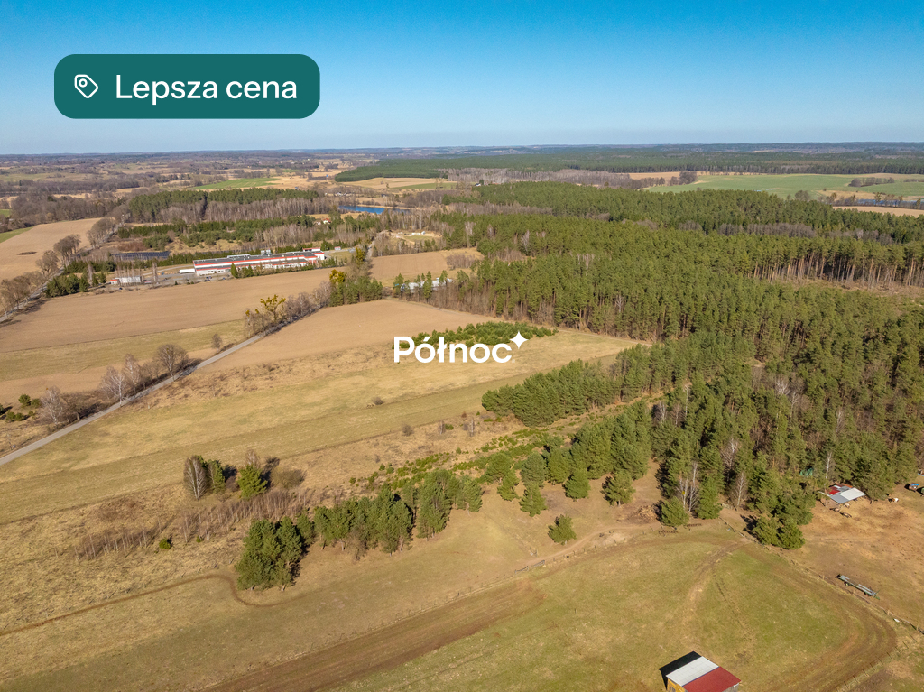 Zdjęcie 6