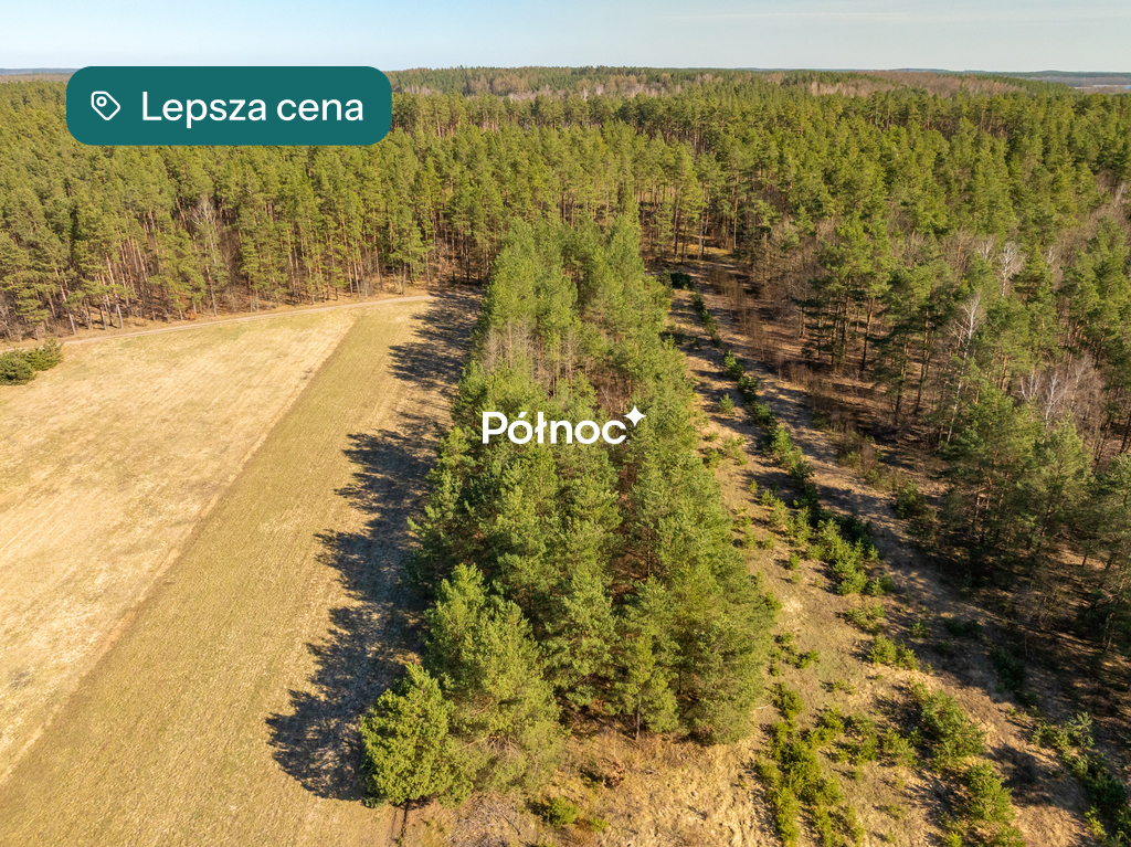 Zdjęcie 12