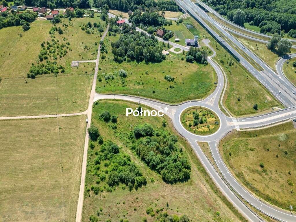 Zdjęcie 11