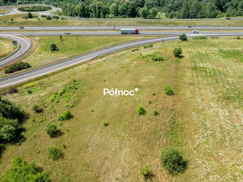 Zdjęcie 13