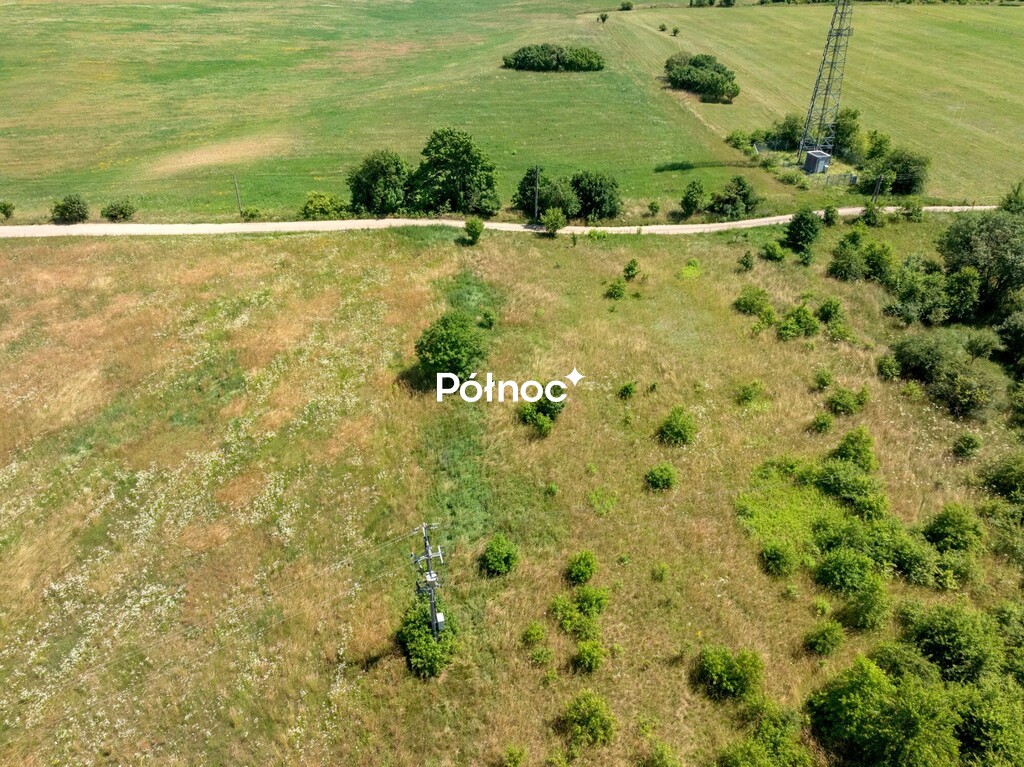 Zdjęcie 14