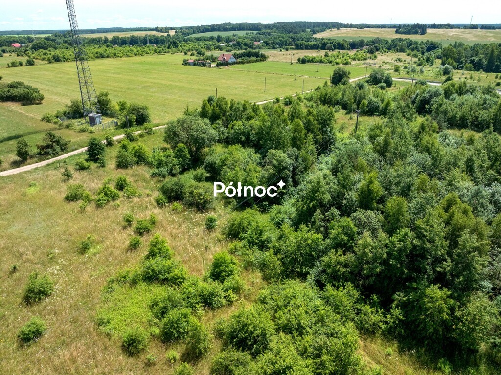Zdjęcie 15