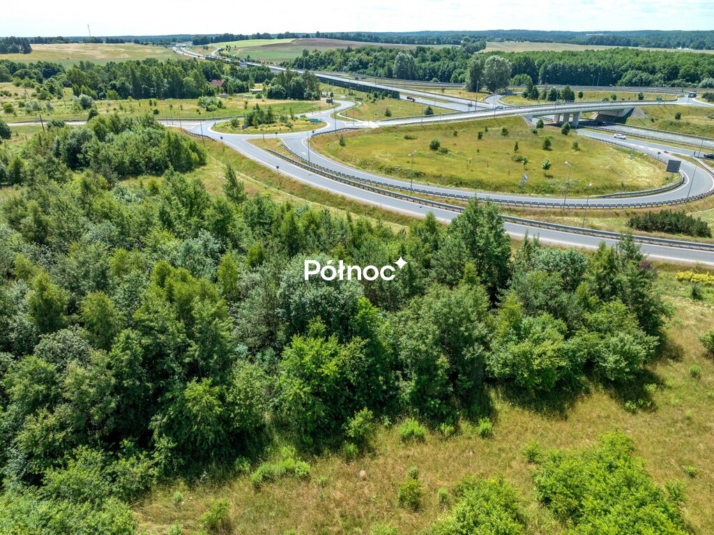 Zdjęcie 16